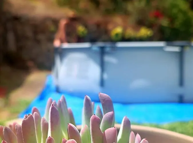 La Casita De Сasa de vacaciones *